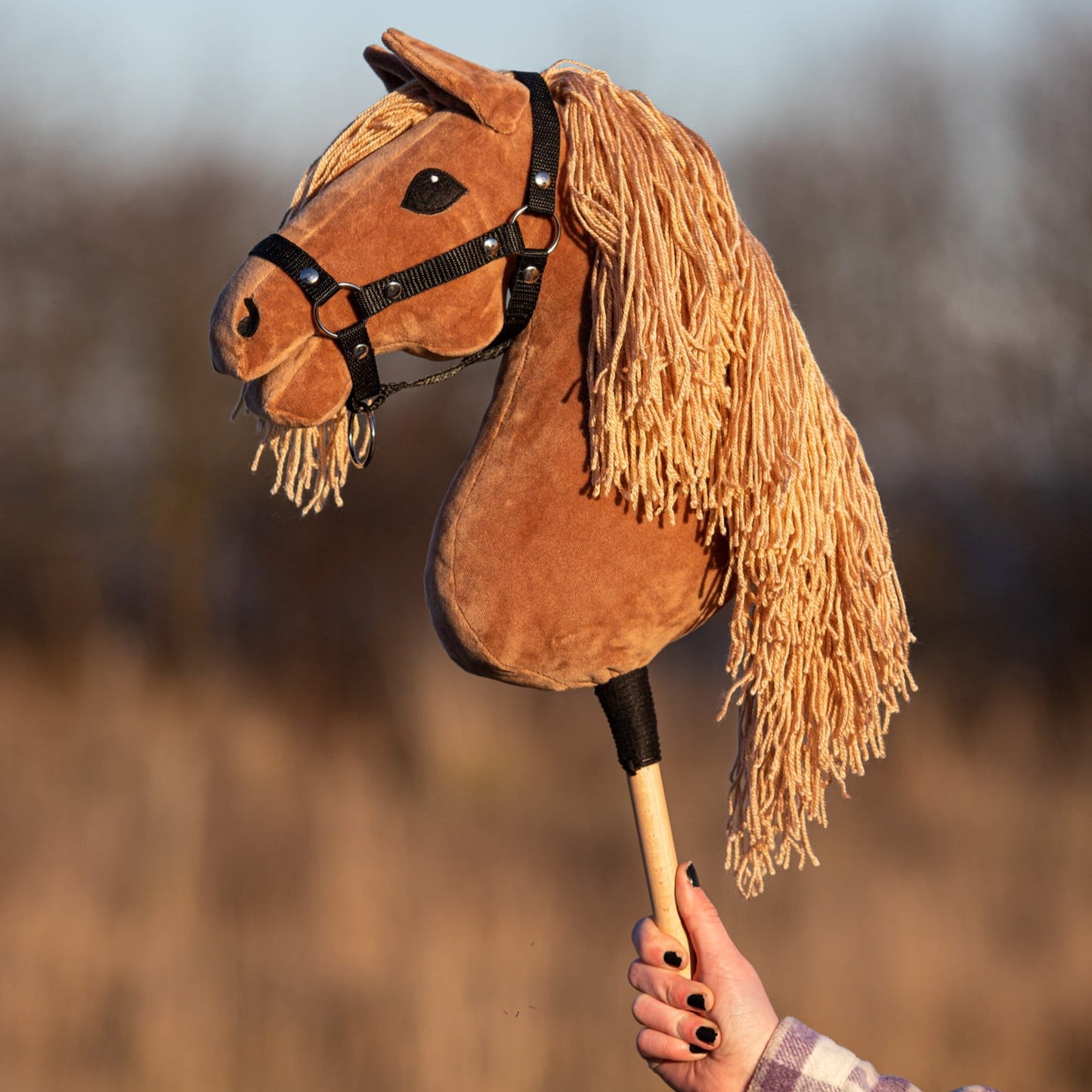 Hobby Horse Chestnut