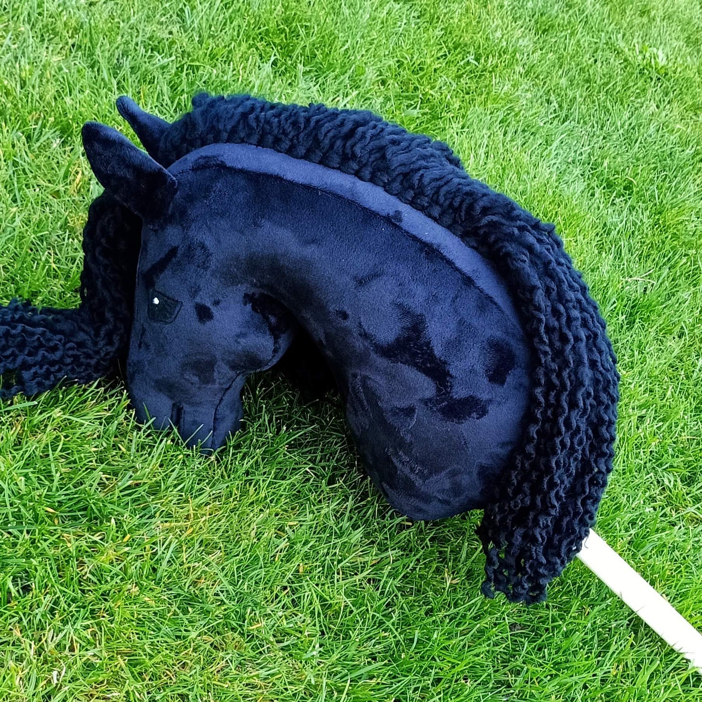 Hobby Horse Aurora