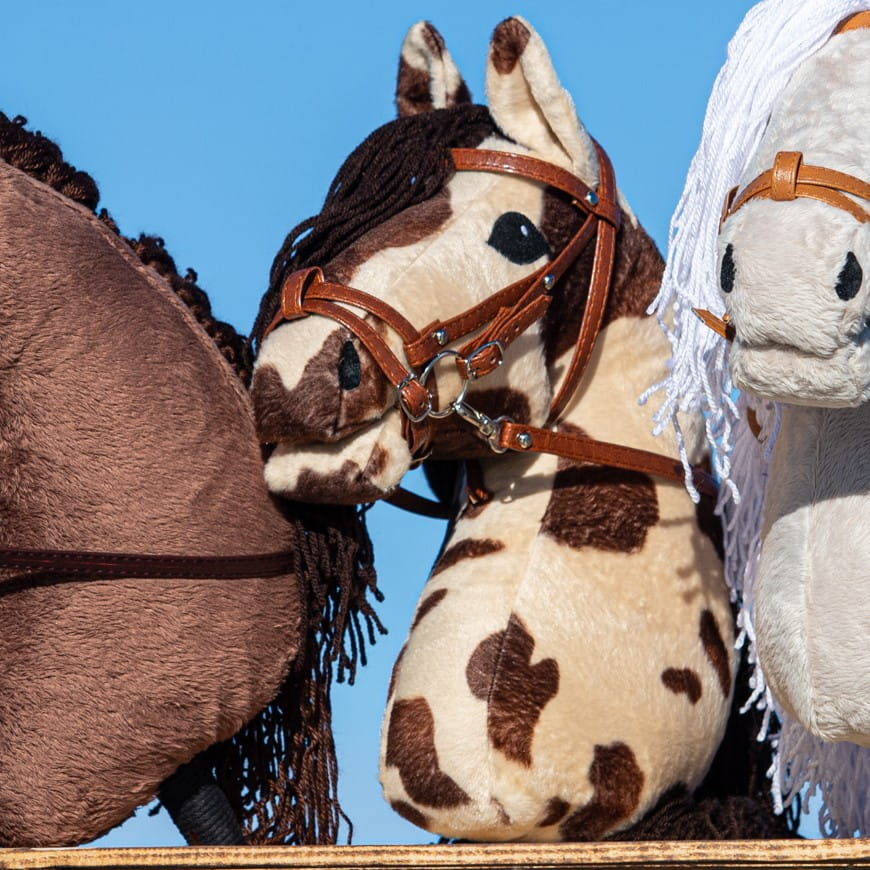 Hobby Horse Nevada