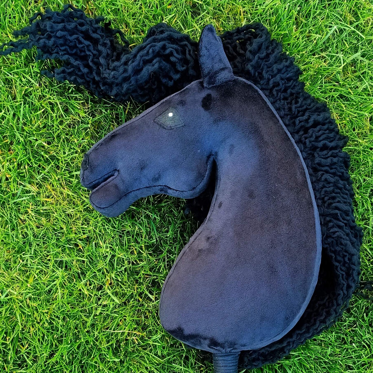 Hobby Horse Aurora